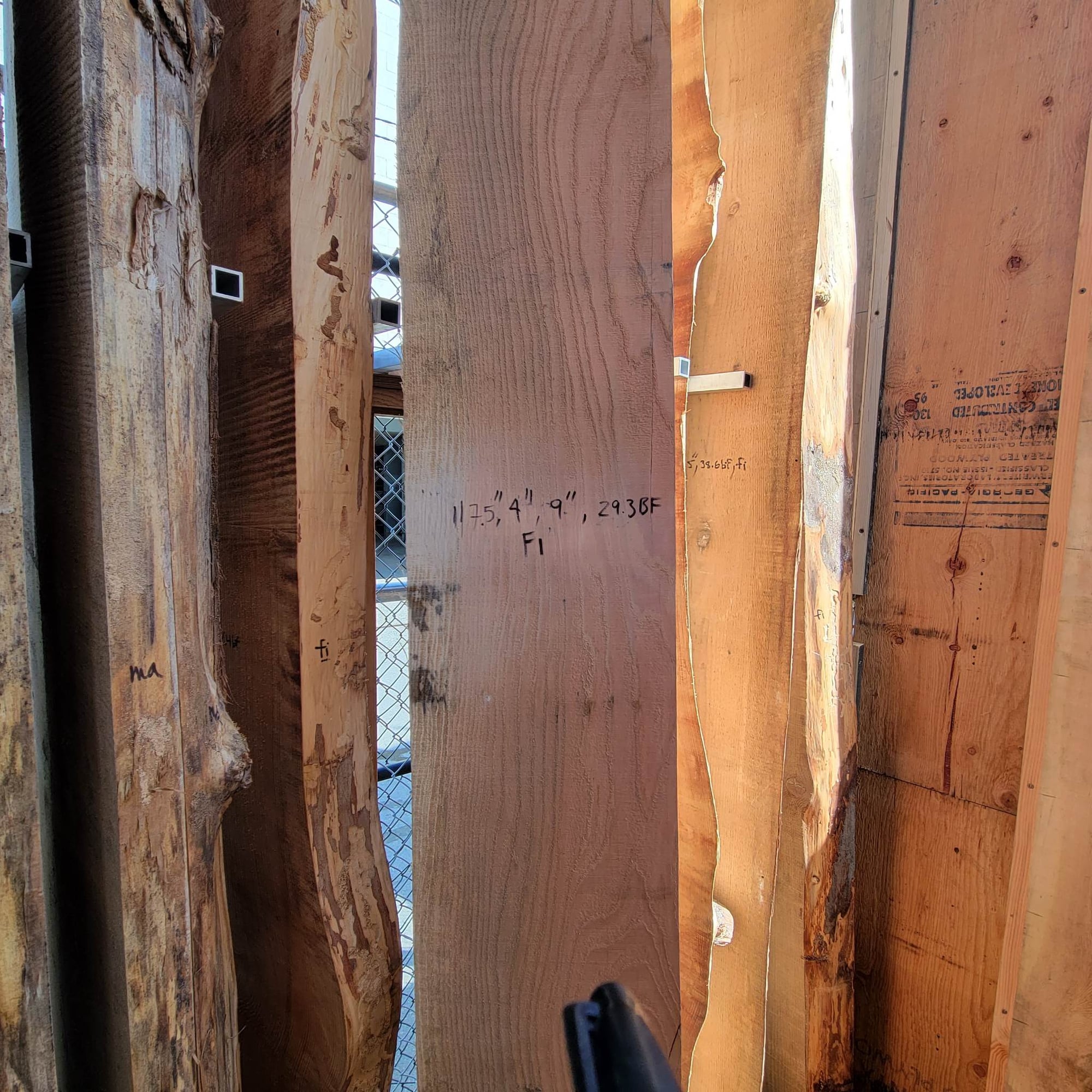 Douglas Fir